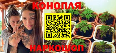 spice Бузулук
