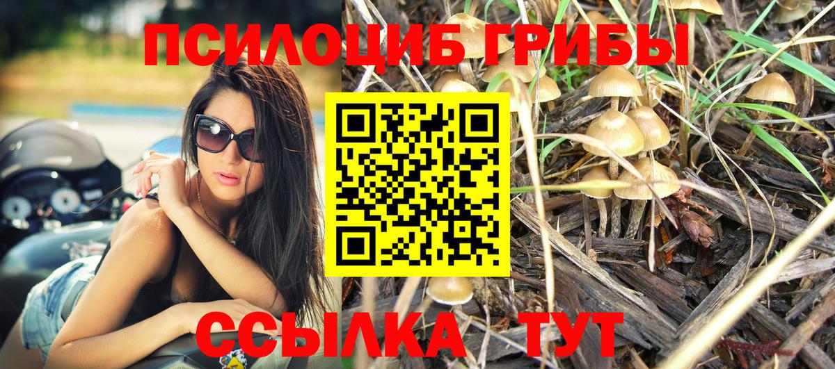 Галлюциногенные грибы Psilocybine cubensis  Псилоцибиновые грибы Psilocybe  Сочи  Вход с VPN 