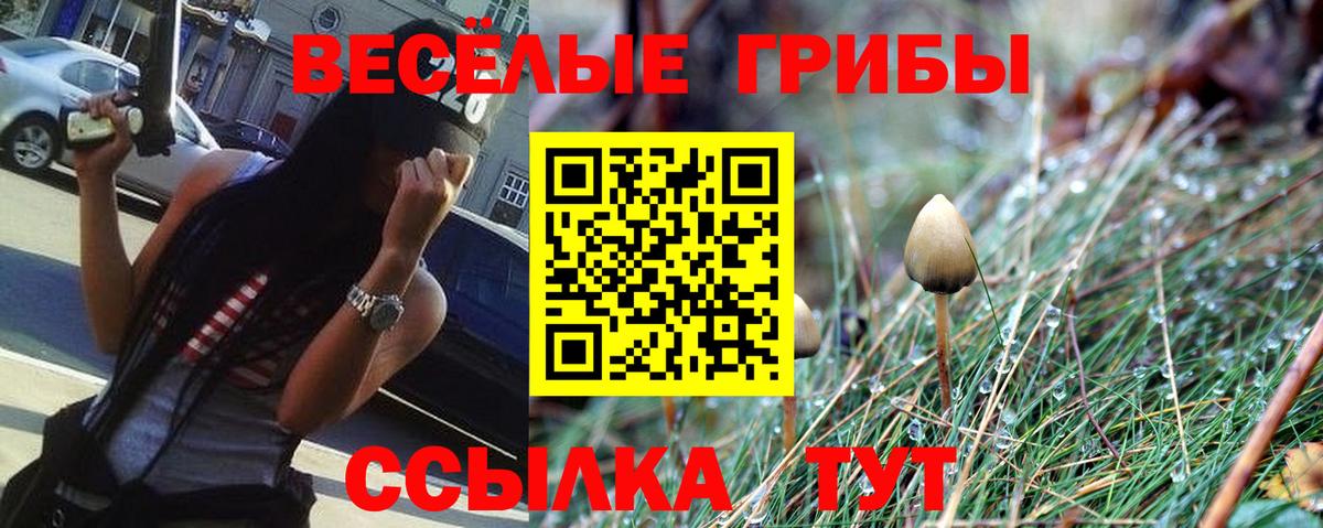 Альфа ПВП Сочи