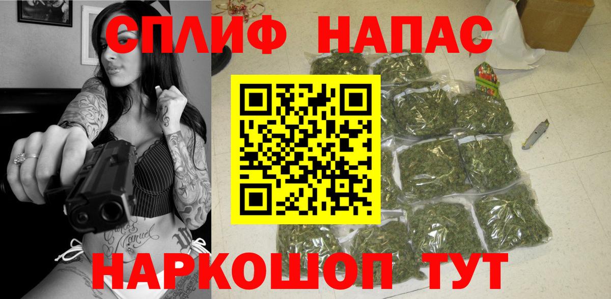 Бошки марихуана ГИДРОПОН  Конопля OG Kush  Канабис сатива  Сочи  Вход с VPN 
